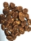 Veganistoem Cacao Aroma Met een laag bedekt Fried Broad Bean Chips Crispy