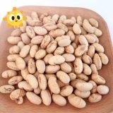 Natuurlijke gezonde OEM roosterde Gezouten Soja Bean Snacks Handpicked Vegan Beans