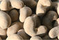 Het heldere Ganoderma-Veilige Ruwe Ingrediënt van de Cashewnoten Gezonde Snack Vrij van het Braden
