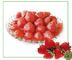 Heerlijk Gelei Organisch Ingeblikt Fruit, Ingeblikte Aardbeien met Gezondheidscertificaten
