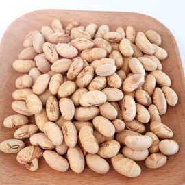Kosher Halal Gecertificeerd Gecoat Gebraden Kruidig Geel Edamame Sojabonen Snacks ISO goedgekeurd