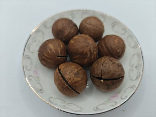 Macadamia noten