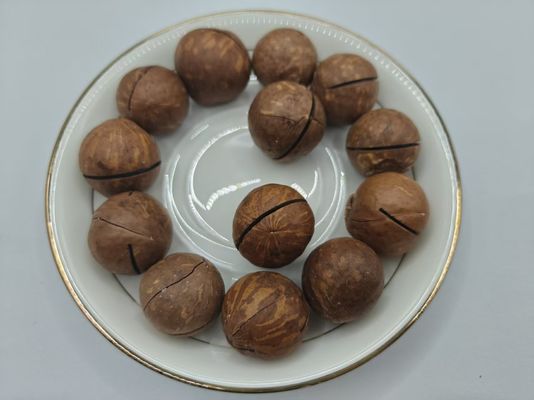 Macadamia noten