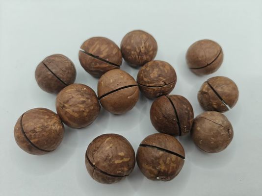 Macadamia noten