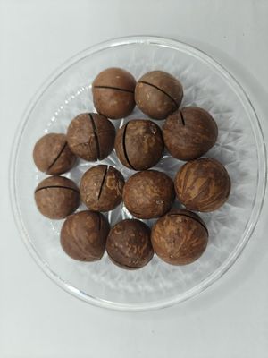 Macadamia noten