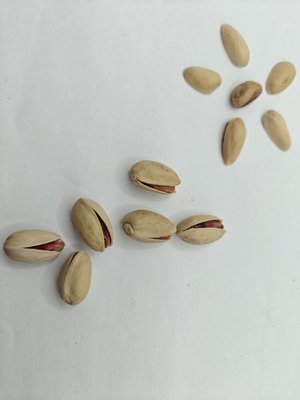 Roasted and Salt Pistachio in Shell