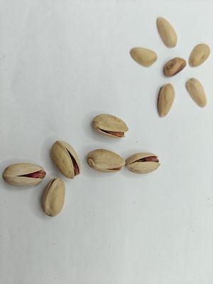 Voldoen aan verlangens Gebakken zout pistache in schelp Gratis monster