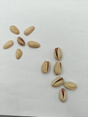 Voldoen aan verlangens Gebakken zout pistache in schelp Gratis monster