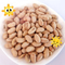 Natuurlijke gezonde OEM roosterde Gezouten Soja Bean Snacks Handpicked Vegan Beans