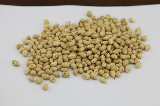 De kosjer Verklaarde Snack van Zonnebloemzaden, het Geroosterde Heerlijke Aroma van Zonnebloempitten