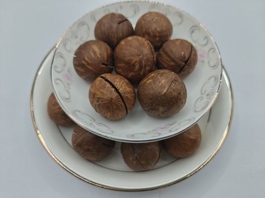 Macadamia noten