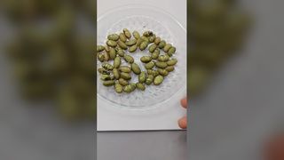 groene tuinbonen